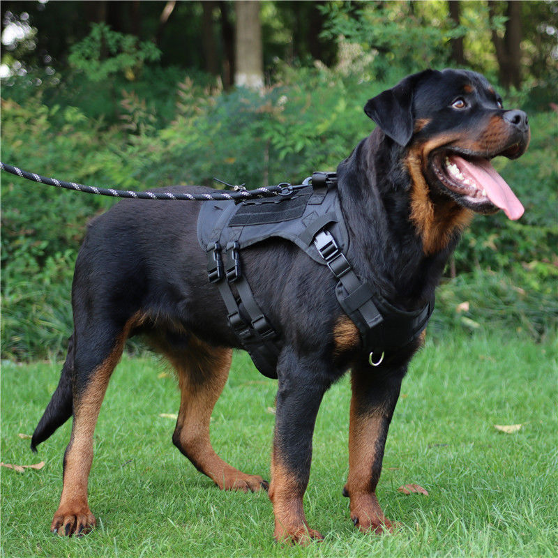 犬 ハーネス ミリタリー調タクティカルハーネス