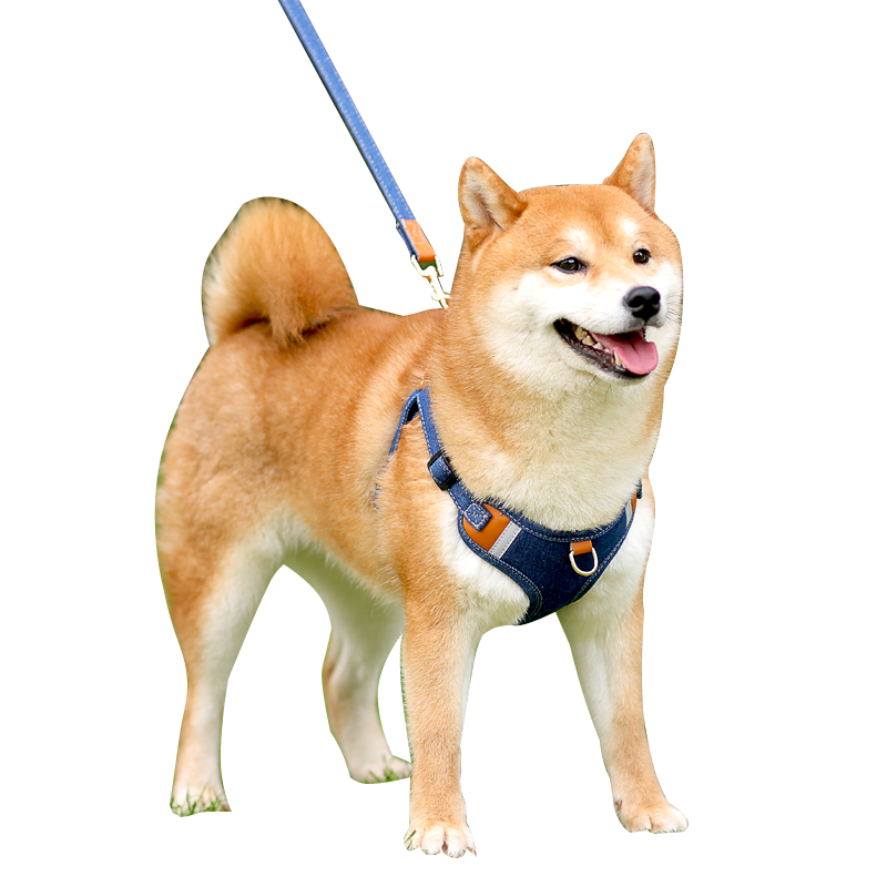 犬 ハーネス 柔らか素材のやさしいハーネス