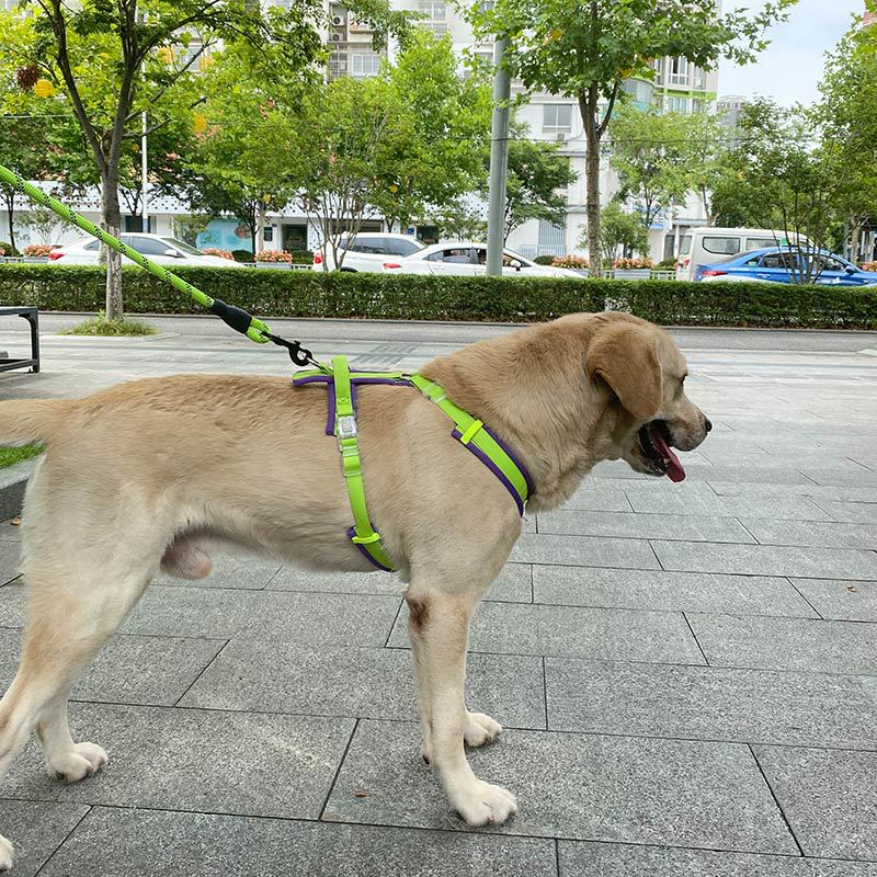 犬 ハーネス 快適やわらか ふんわりハーネス