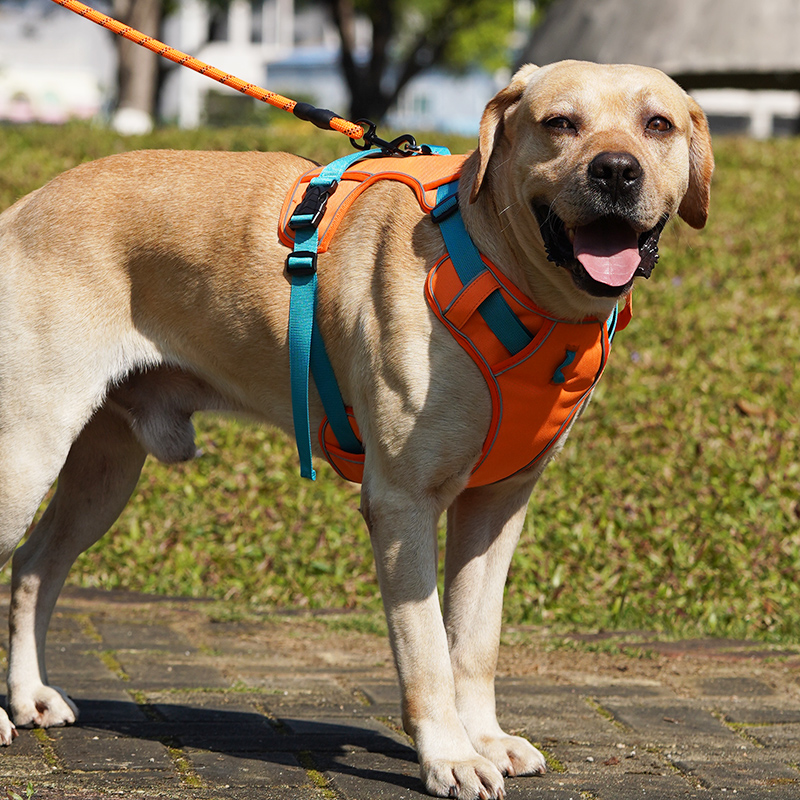 犬 ハーネス 快適おさんぽ 毎日ハーネス