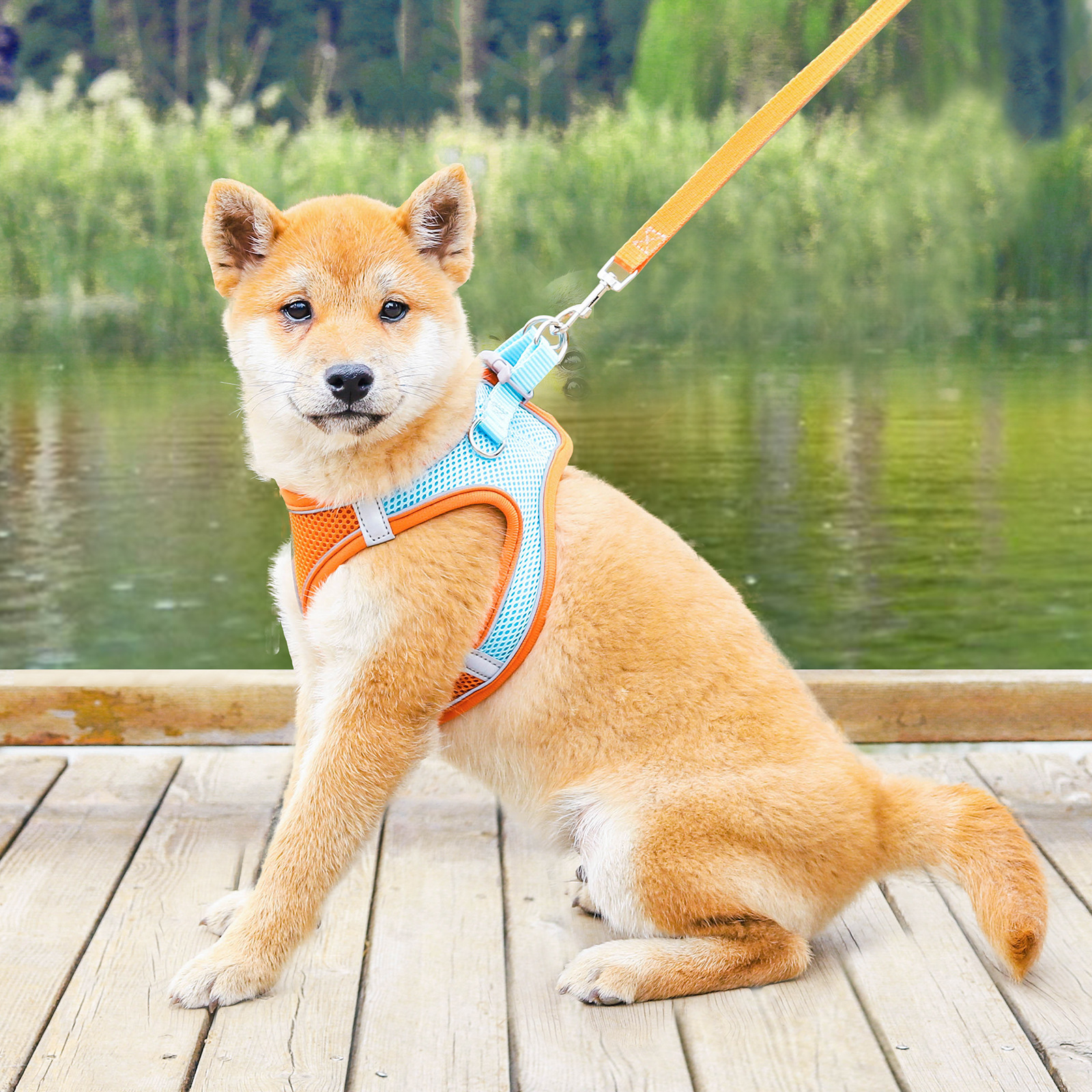 犬 ハーネス メッシュ通気性ハーネス 快適スタイル