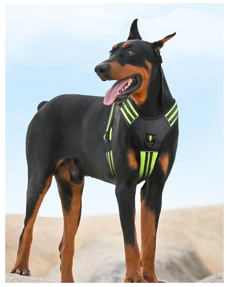 犬 ハーネス スタイリッシュ シンプルハーネス