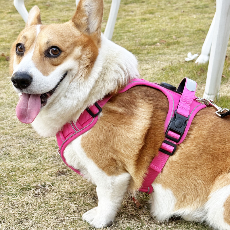 犬 ハーネス やさしさ包む 軽量ハーネス