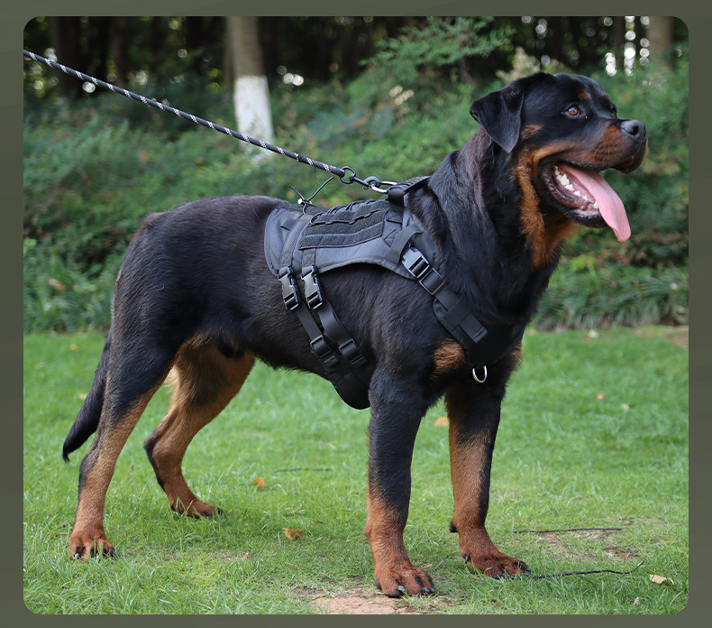 犬 ハーネス フィット感抜群 らくらくハーネス