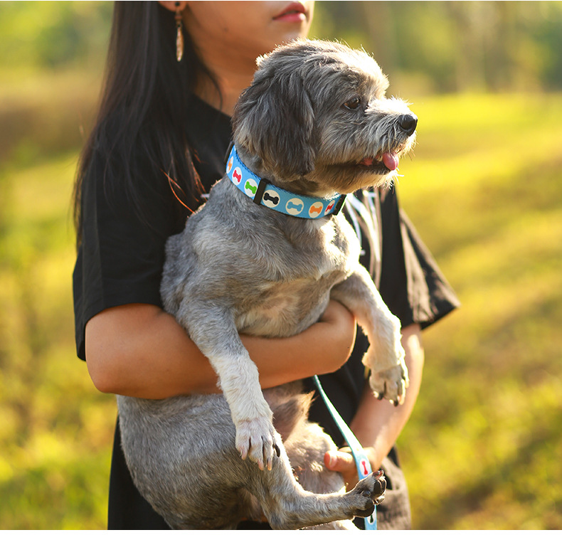 犬 ハーネス やさしい模様のペット用首輪＆リードセット