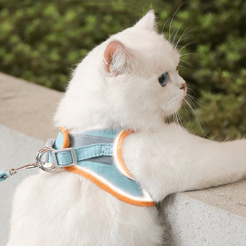 犬 ハーネス 生成エラーです