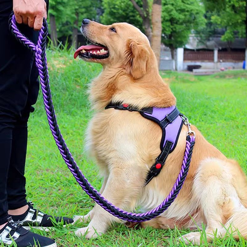 https://fulmo-img-server.com/wonderfulharness/5a6532b9-5828-4921-8e3e-39f99c5a3197.jpg