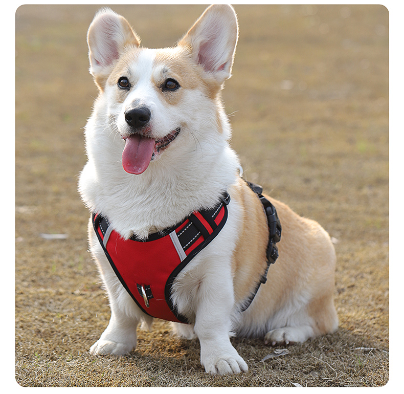 犬 ハーネス アウトドア調 軽量ポケット付きペット用胴輪