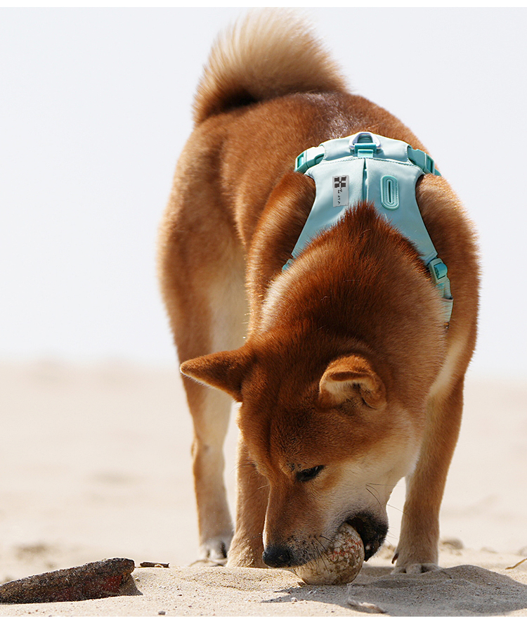 犬 ハーネス なめらか軽量フィット ハーネス