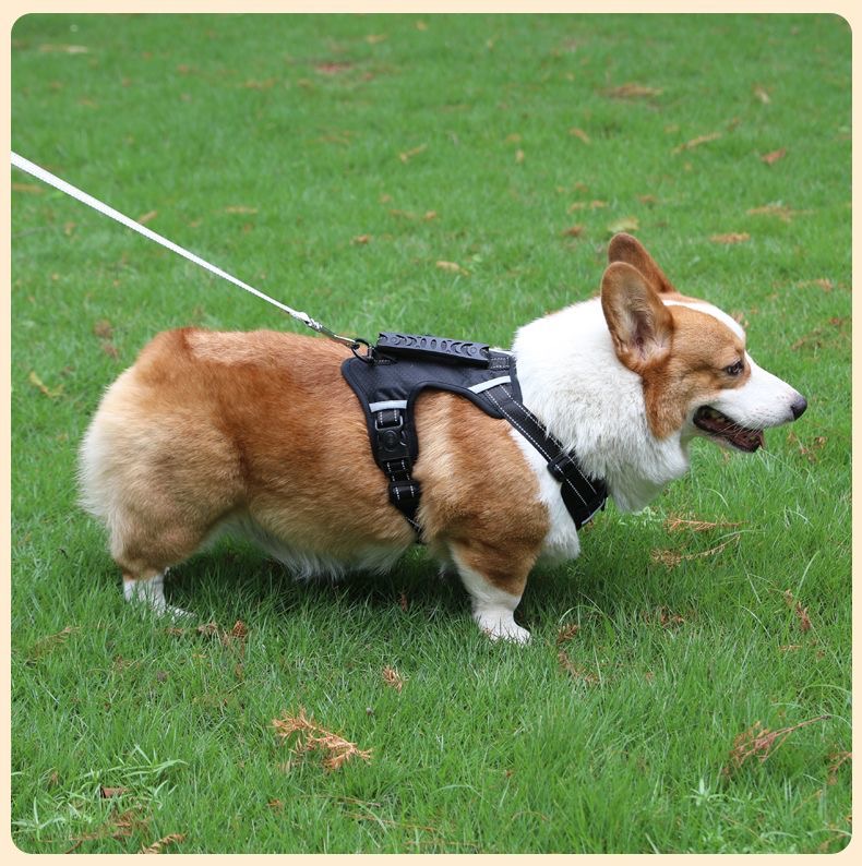 https://fulmo-img-server.com/wonderfulharness/5ab1af35-18f6-44a2-aac0-27296a3033aa.jpg