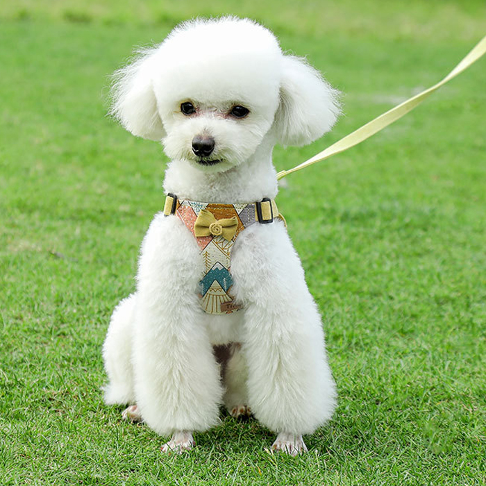 犬 ハーネス 和風リボン結び ふんわりハーネス