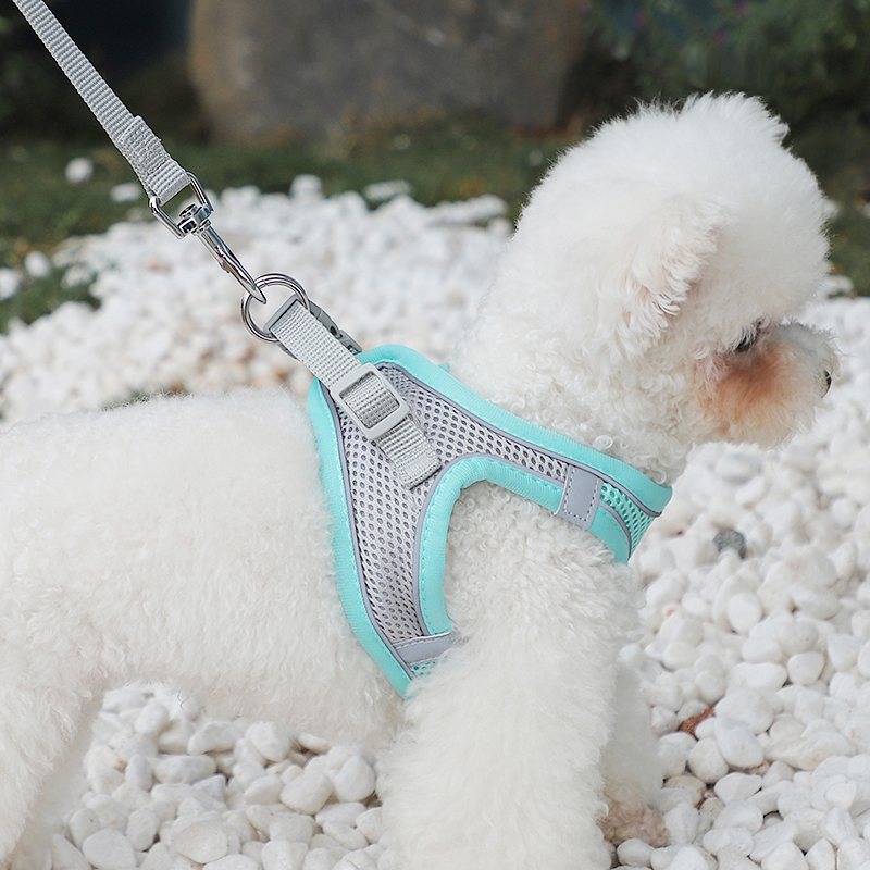 犬 ハーネス メッシュ素材の軽量ハーネス