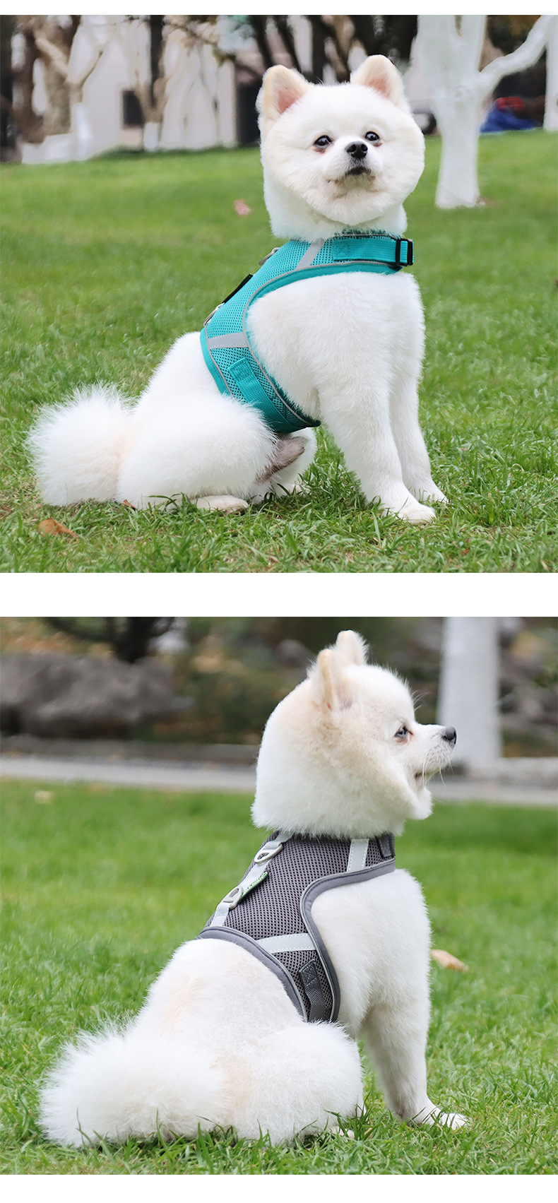 犬 ハーネス ふんわり快適メッシュハーネス