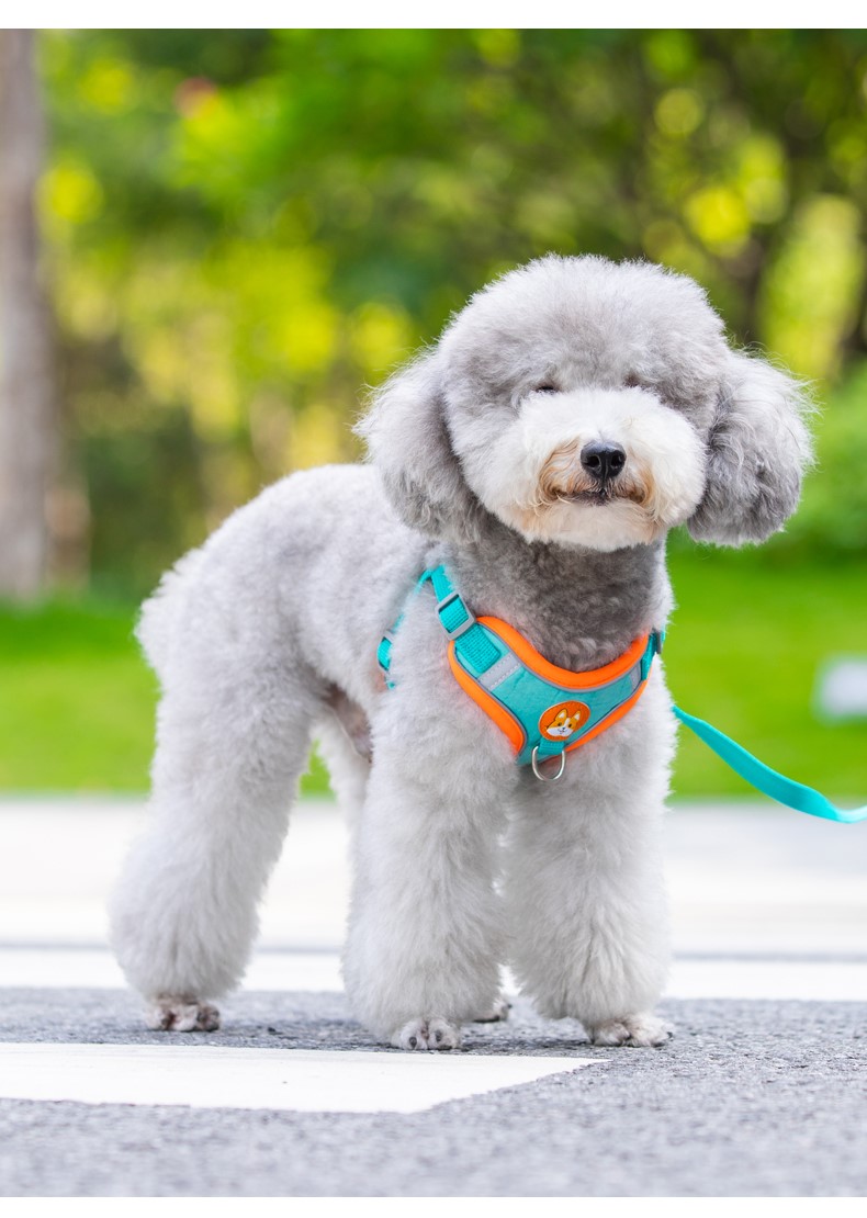 犬 ハーネス やさしい着け心地 ソフトハーネス