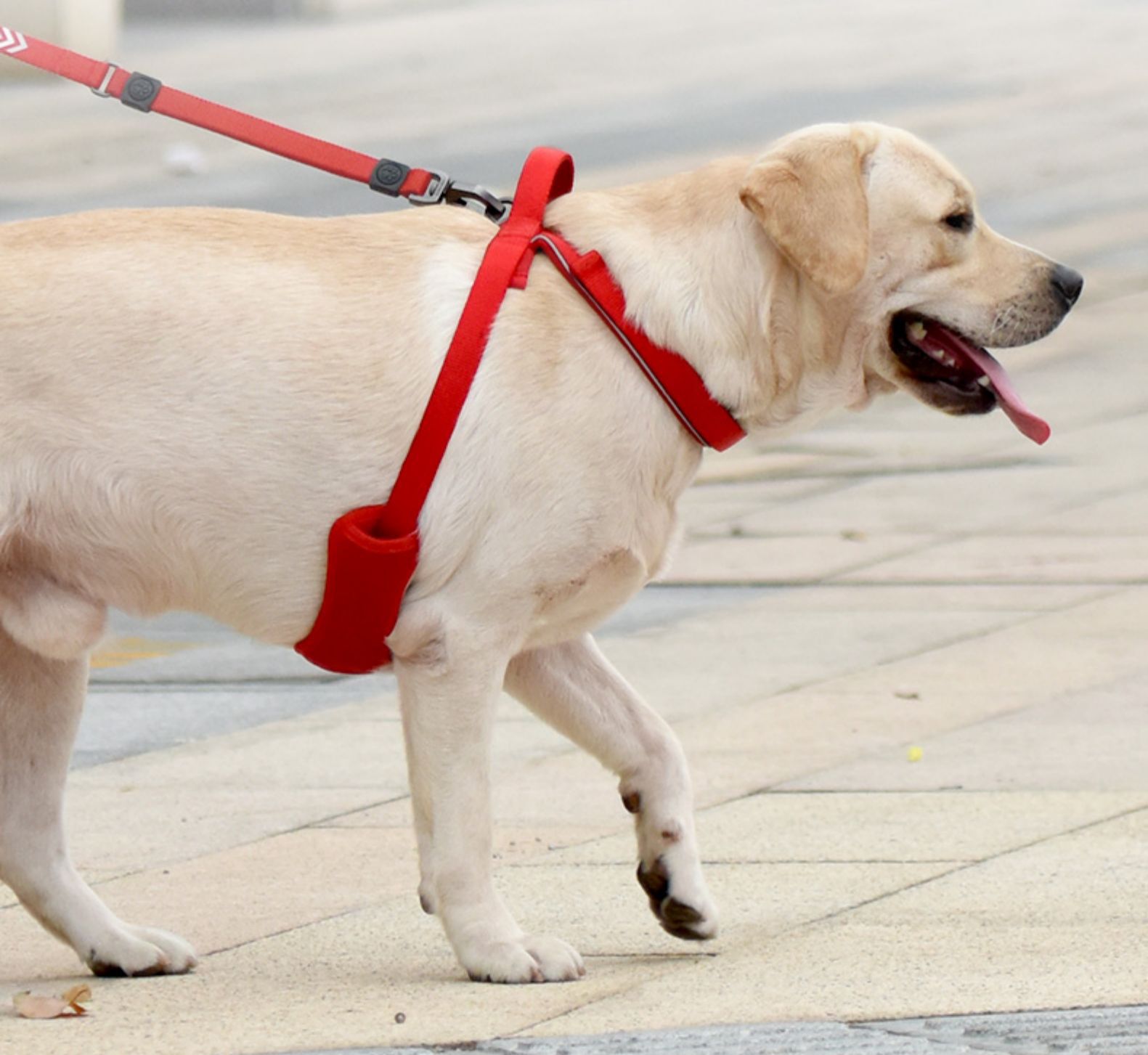 犬 ハーネス シンプル快適ハーネス