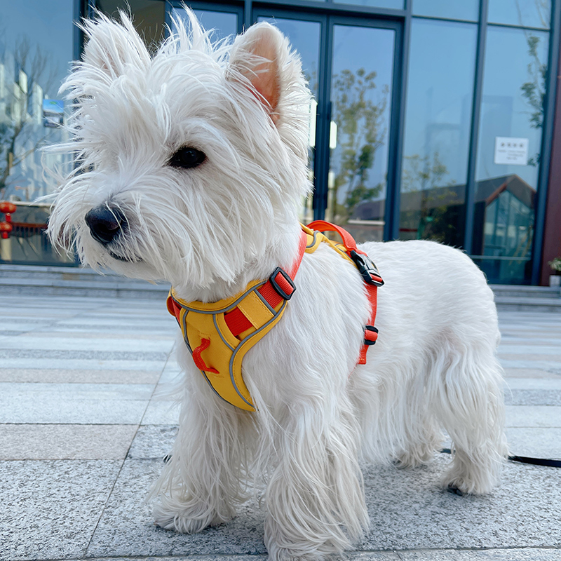 犬 ハーネス 快適おさんぽ職人ハーネス