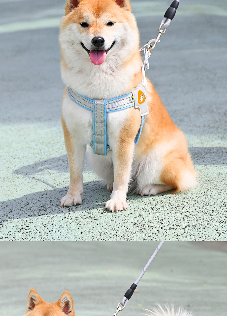 https://fulmo-img-server.com/wonderfulharness/5c039891-76af-4e1c-b088-84ae9805ce3c.jpg