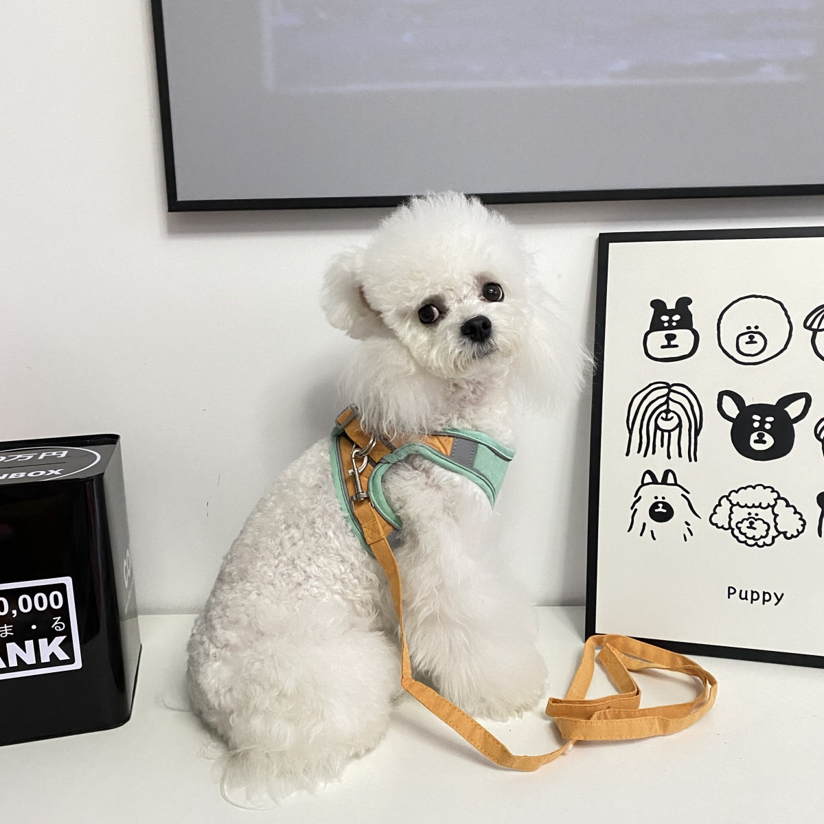 犬 ハーネス なめらかシンプルハーネス