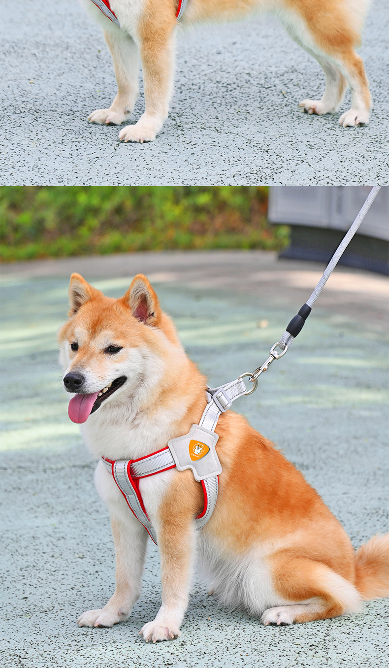https://fulmo-img-server.com/wonderfulharness/5cc62bc8-3e2b-45e2-afb4-dee1f81c6429.jpg
