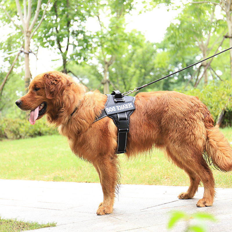 犬 ハーネス 介助犬用トレーニングハーネス