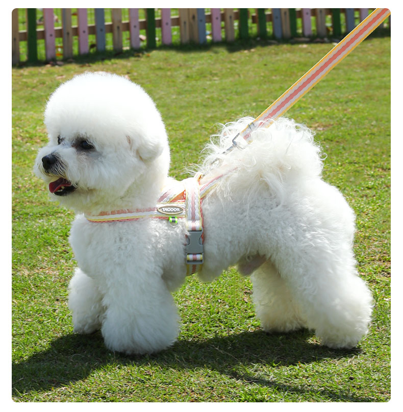 犬 ハーネス やさしさ重視 ソフトフィットハーネス