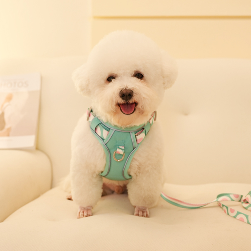 犬 ハーネス やさしさ包む ふわり軽量ハーネス
