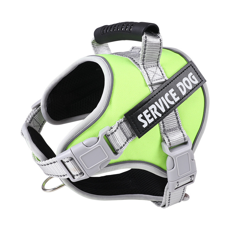 https://fulmo-img-server.com/wonderfulharness/5da00995-10d6-44a8-ae11-4ecbf6fd2246.jpg