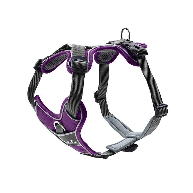 https://fulmo-img-server.com/wonderfulharness/5df7baa4-a2cb-45a5-b1ec-3343e74c587c.jpg