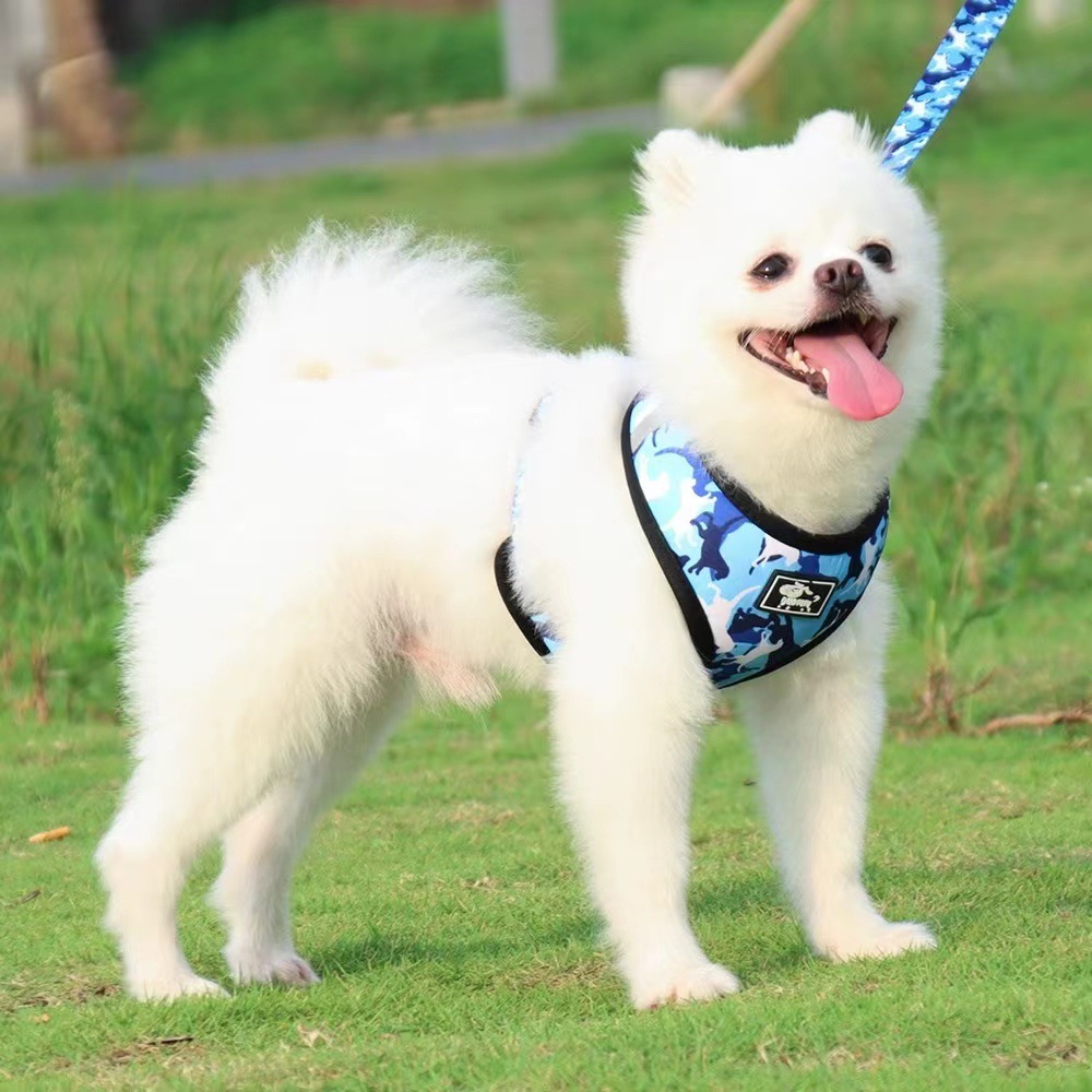 犬 ハーネス 迷彩柄ペット用お散歩セット