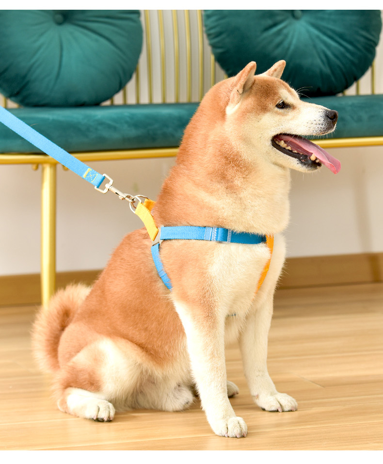 犬 ハーネス やさしさ包む シンプル基本ハーネス