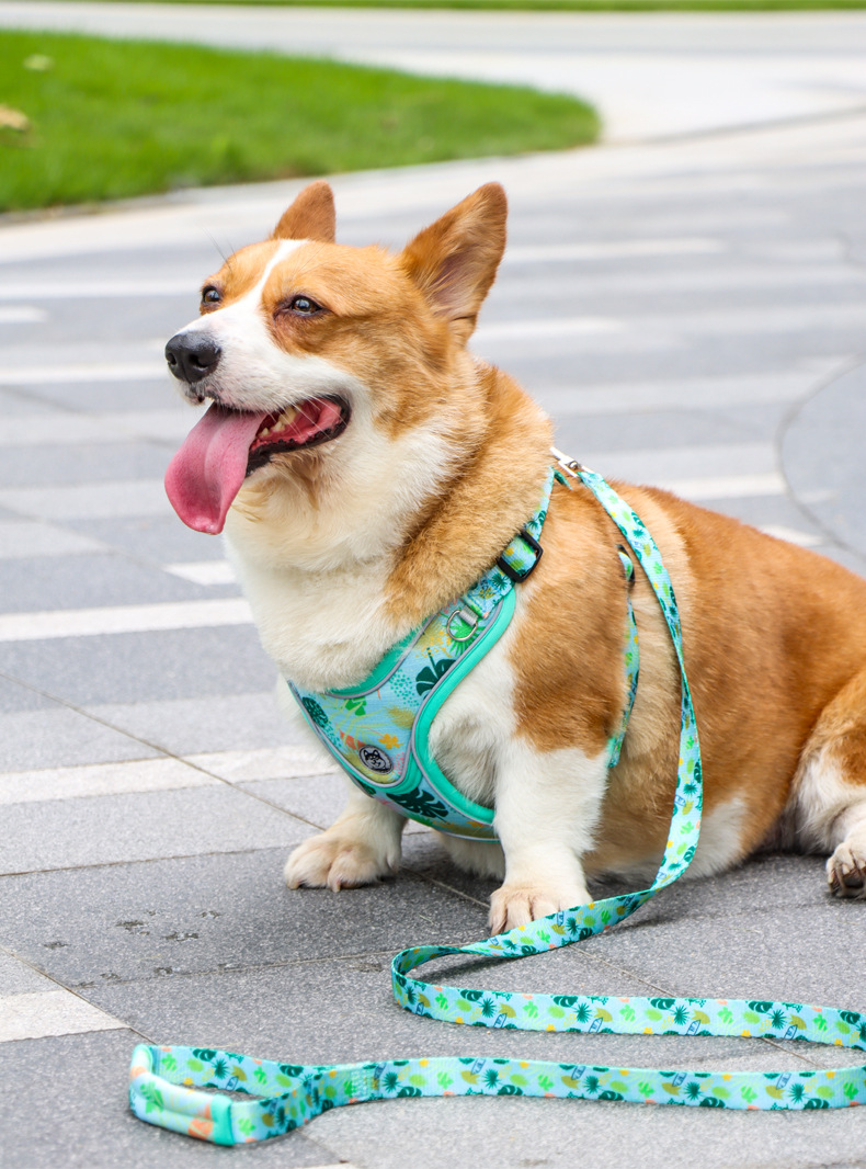 犬 ハーネス 快適お散歩ハーネス 爽やか軽量タイプ