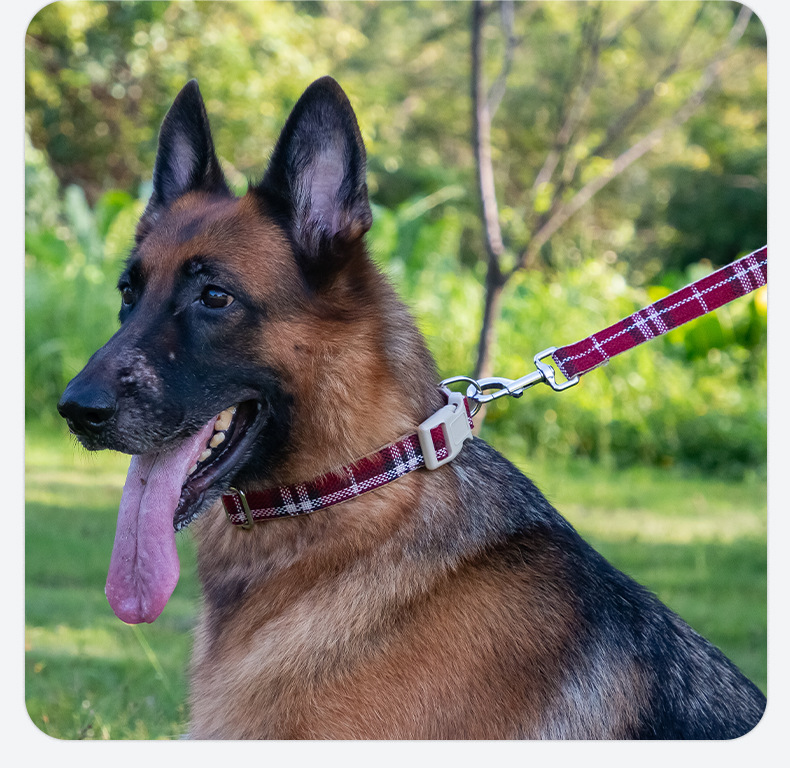 犬 ハーネス デイリーリネンリード