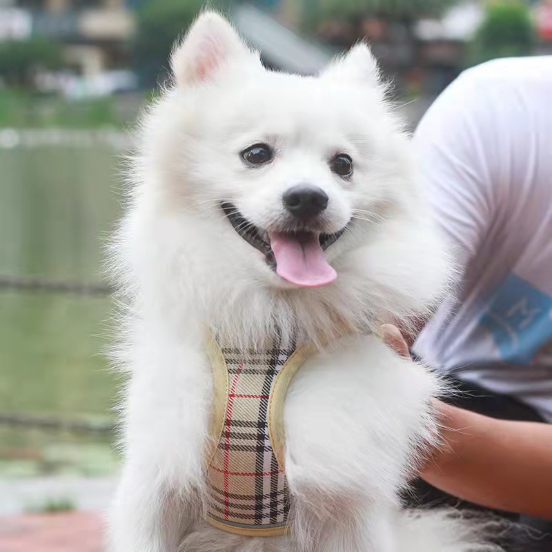 犬 ハーネス 格子柄メッシュ通気性ハーネス