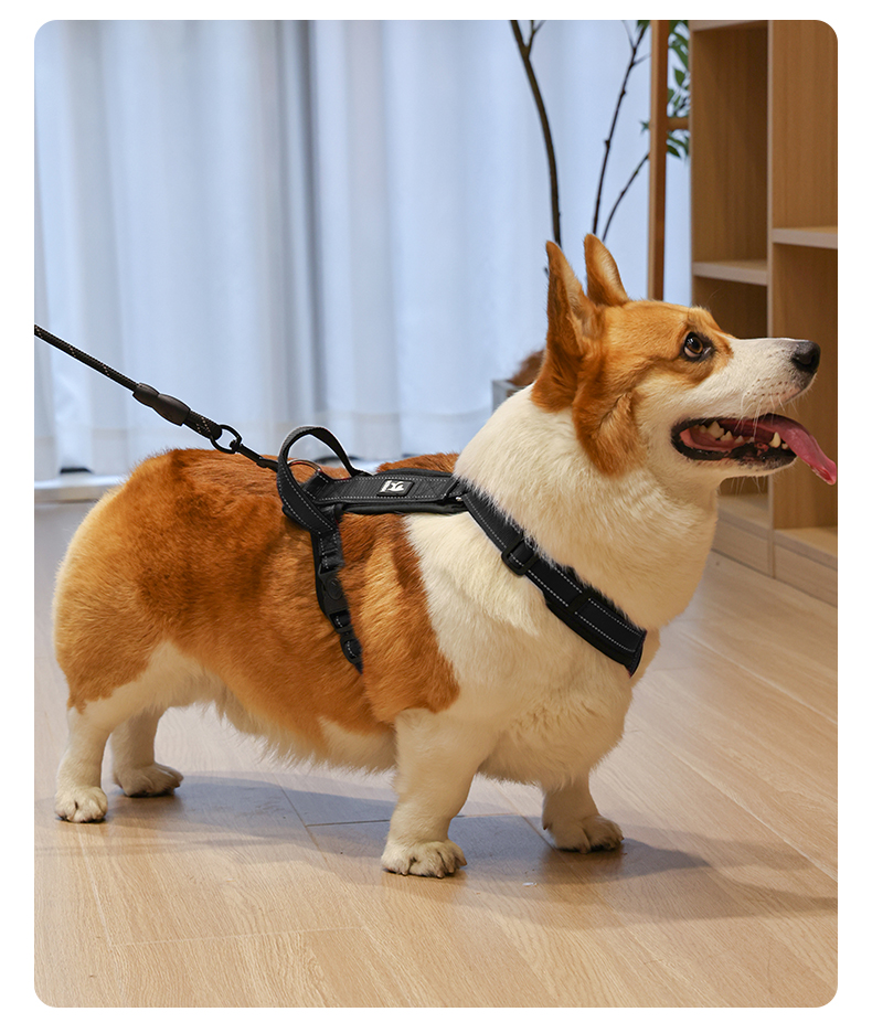 犬 ハーネス 優美シンプル 安心ハーネス