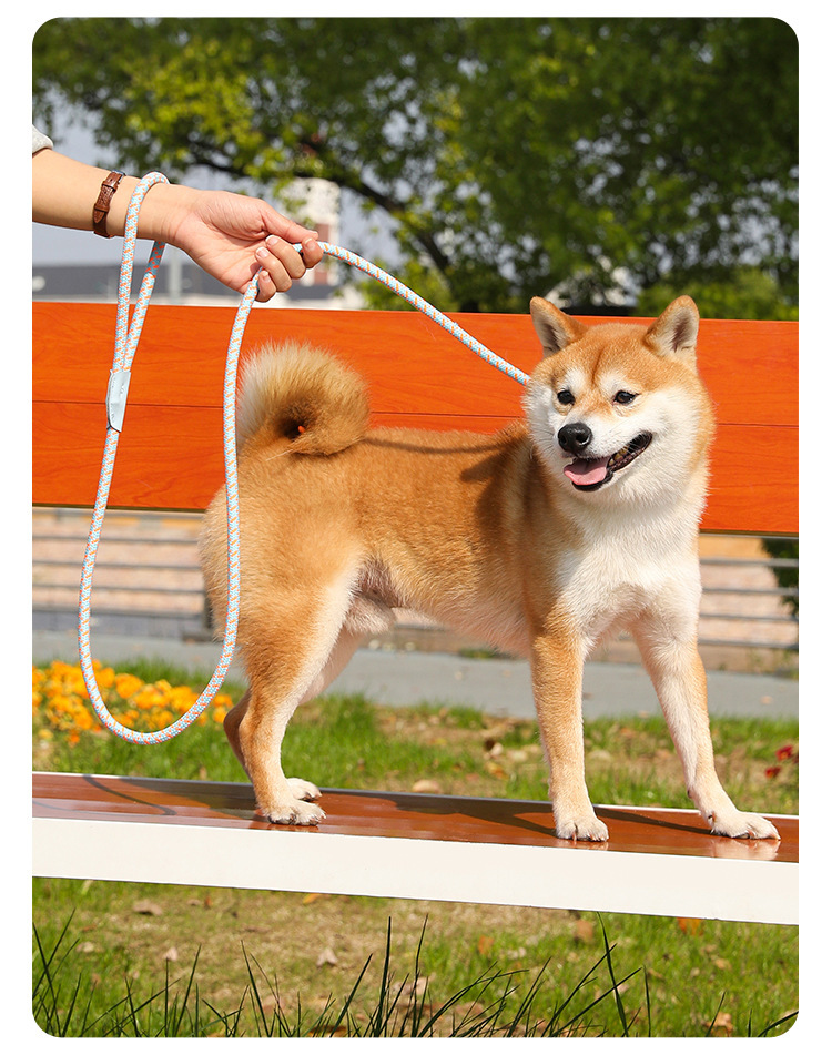 犬 ハーネス 輝きロープリード