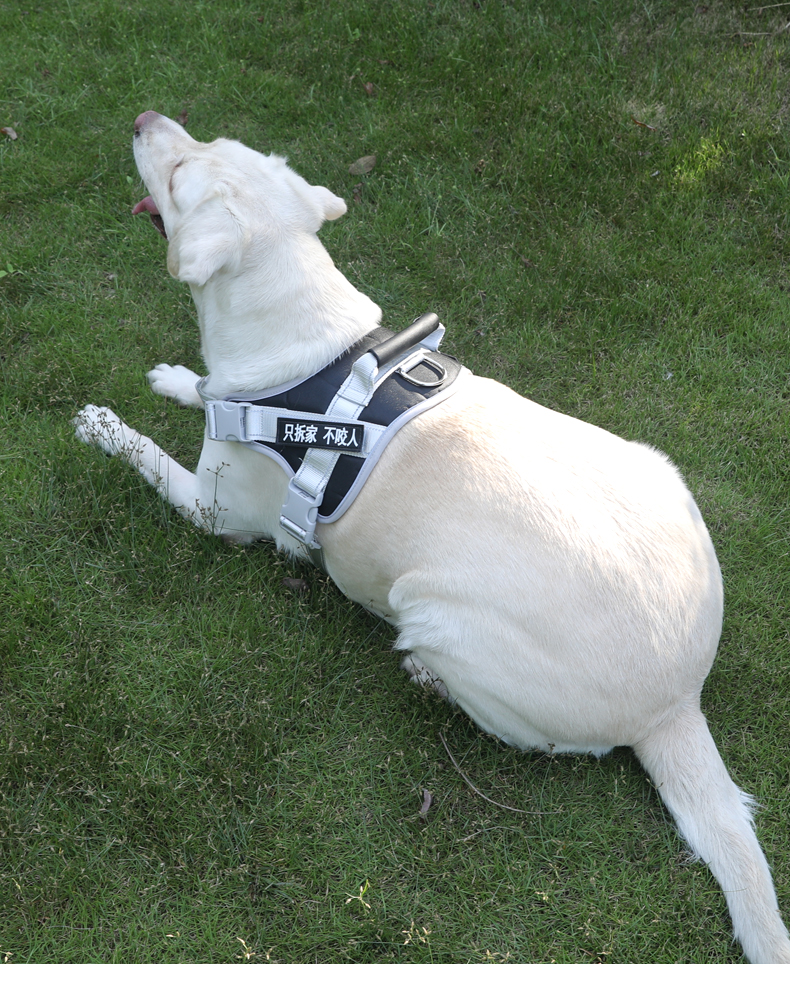 犬 ハーネス やさしさ包む 通気快適ハーネス