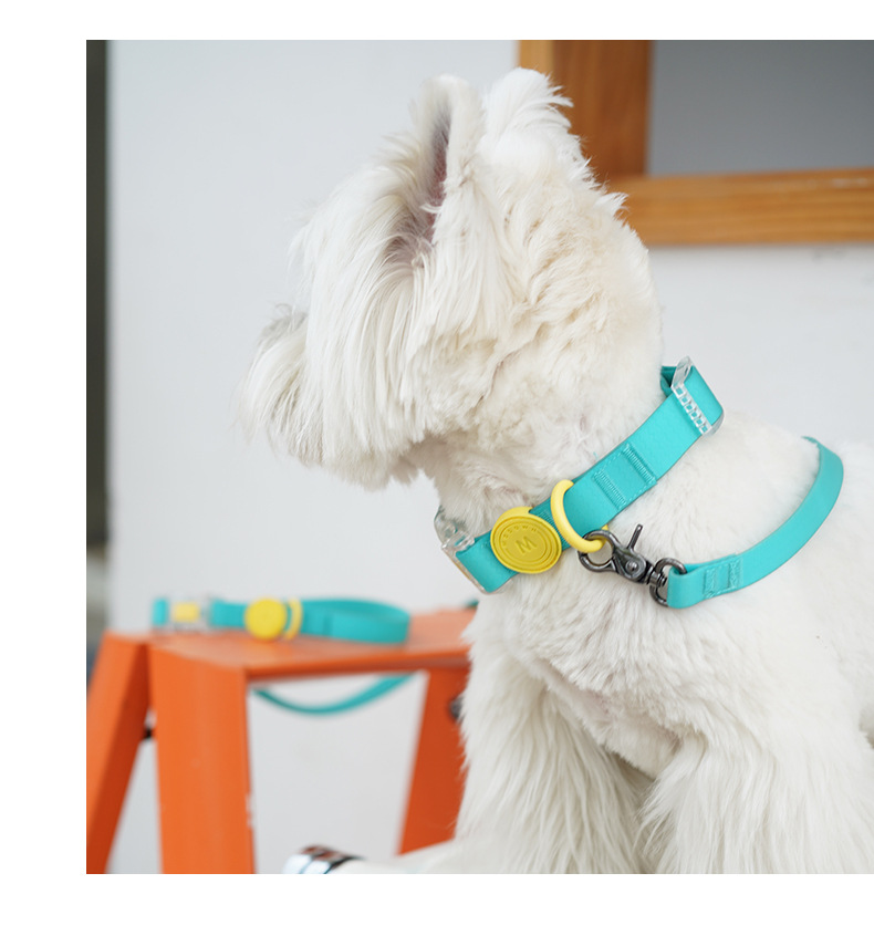 犬 ハーネス やわらか素材のシンプル首輪