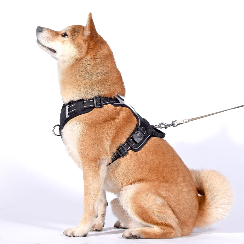 犬 ハーネス ふんわり包む 安心ハーネス