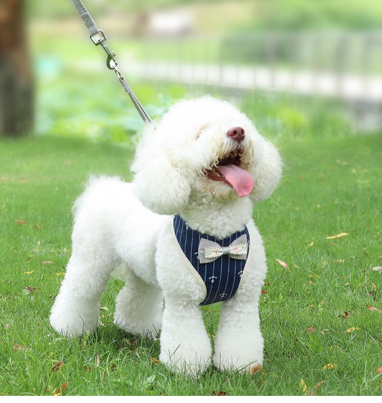 犬 ハーネス リボン飾り付き上質仕立てハーネス