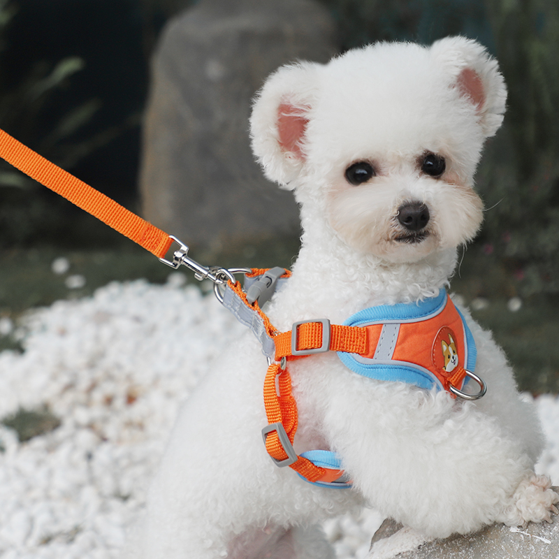 犬 ハーネス 子犬もデザインもわんぱくハーネス