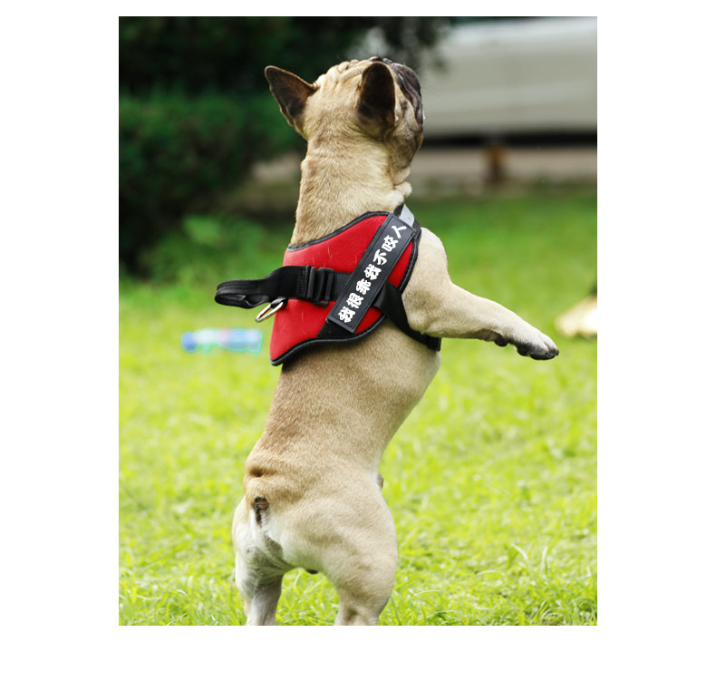 犬 ハーネス スタンダード 警備犬用ハーネス