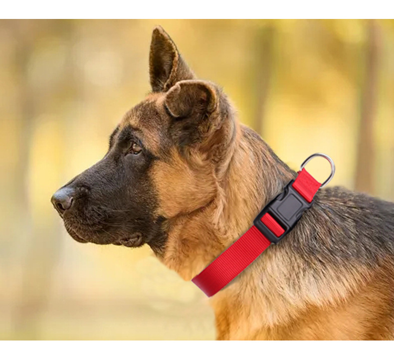 犬 ハーネス シンプル首輪 ‐和‐