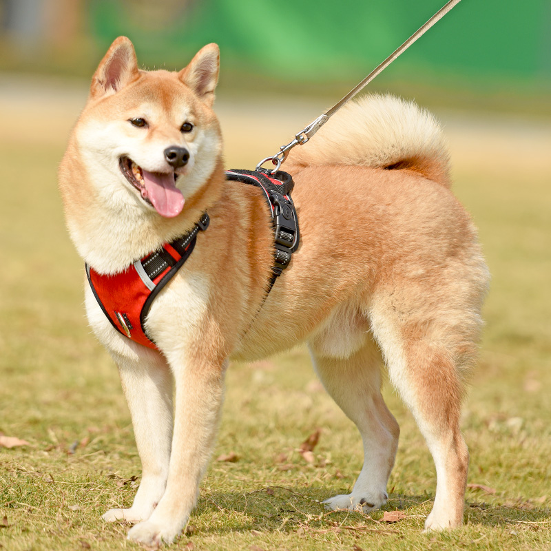 犬 ハーネス シンプル フィット ハーネス