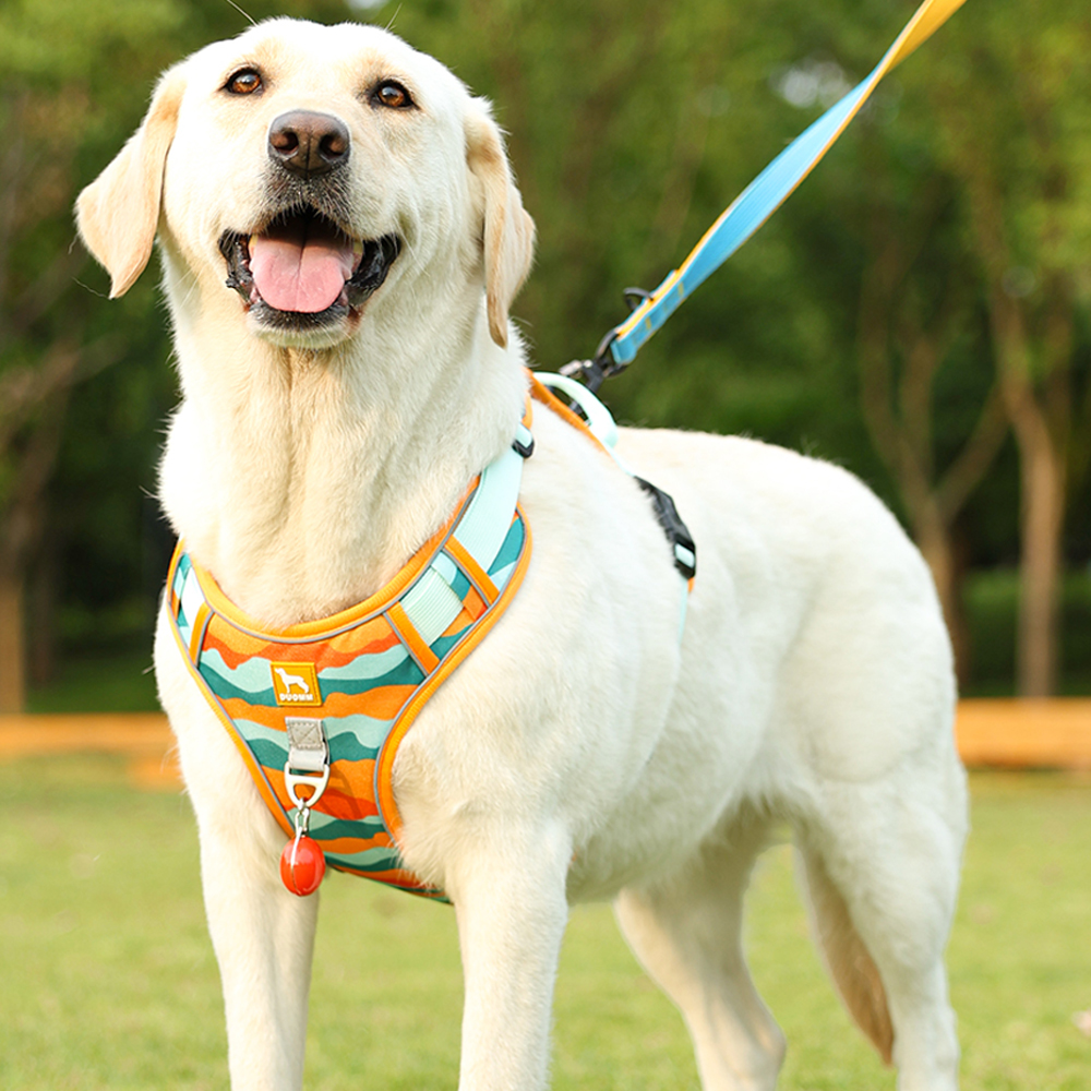 犬 ハーネス やさしさ包む 快適メッシュハーネス