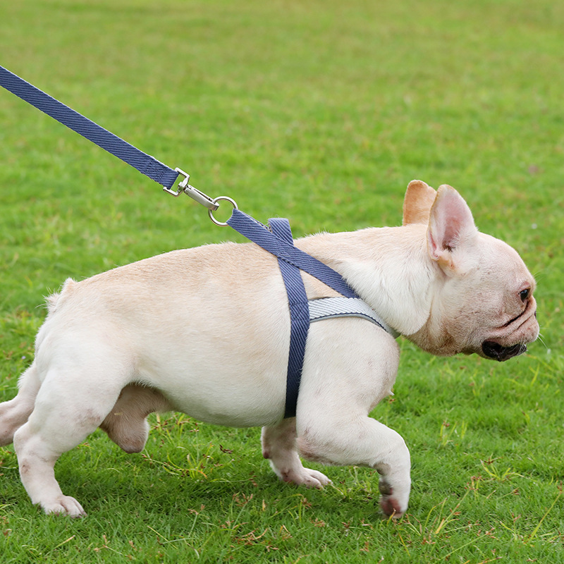 犬 ハーネス やさしさ包む なめらかホールドハーネス