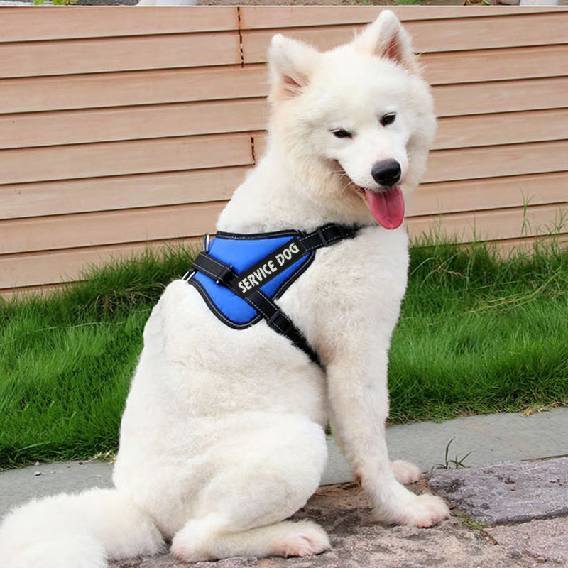 犬 ハーネス 介助犬用プロフェッショナルハーネス