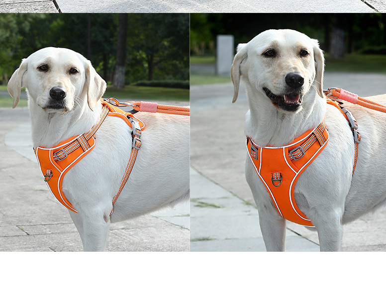 犬 ハーネス ソフトフィット安心ハーネス