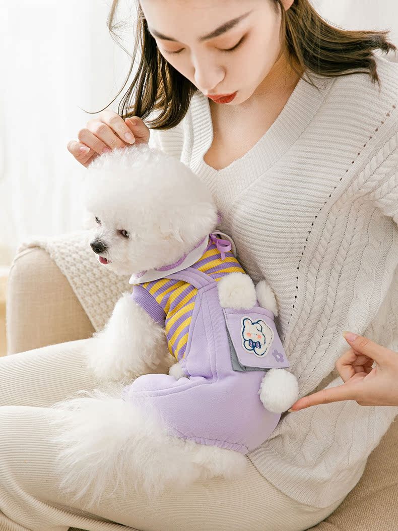 犬 ハーネス くま模様のお散歩用つなぎ