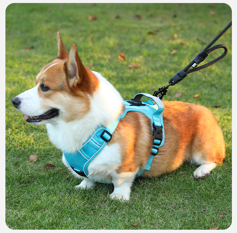 犬 ハーネス やさしさ包む 軽量ハーネス