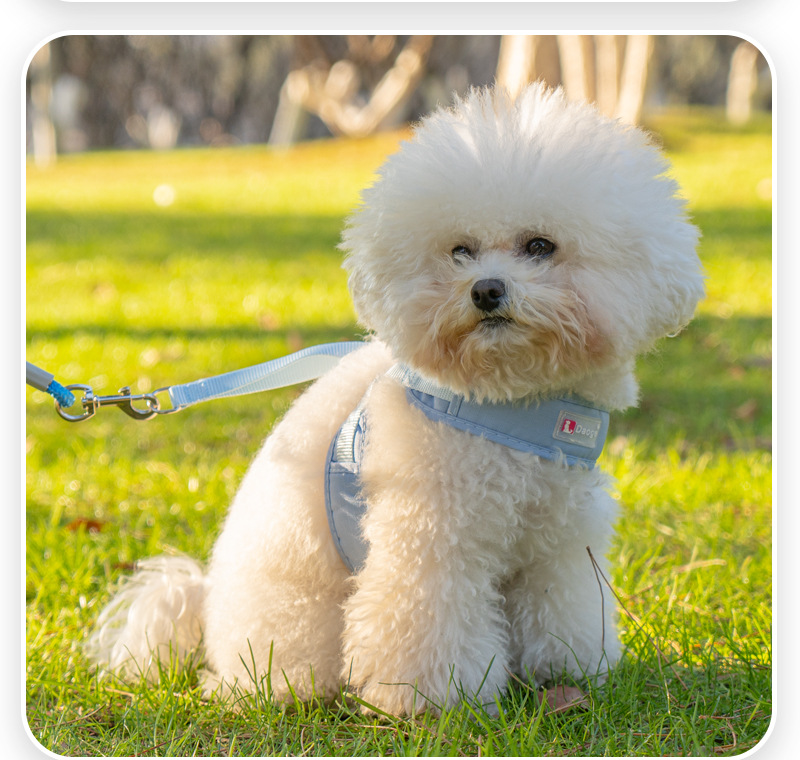 犬 ハーネス なめらかフィット ソフトハーネス